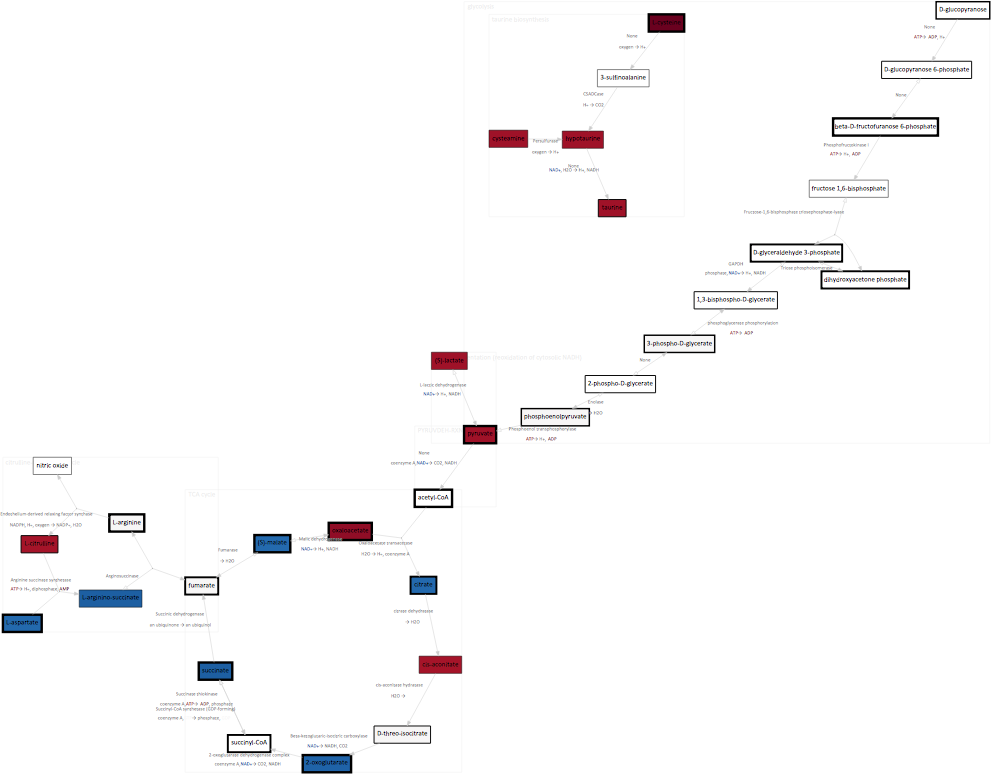 Mined pathways map visualised using MetaboViz